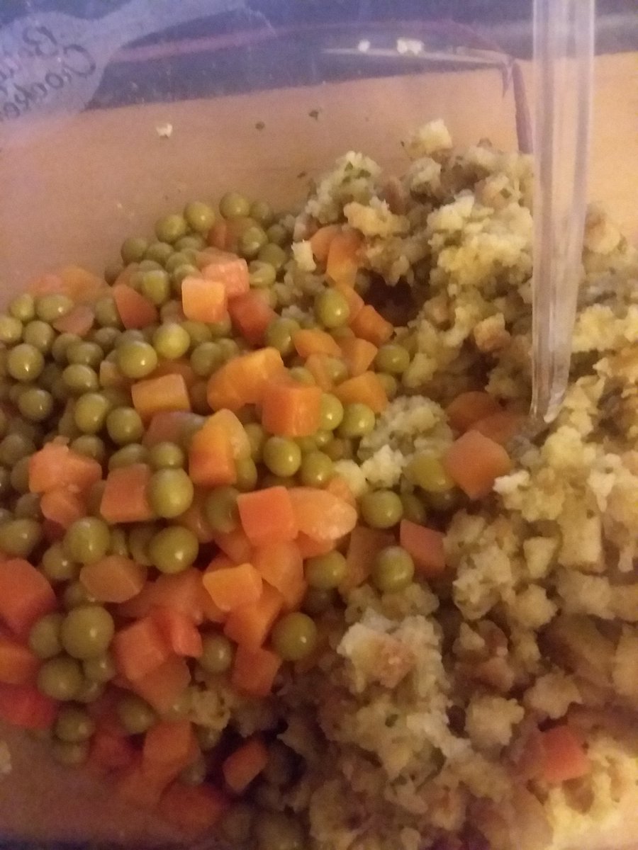 PainedInsomniac's tweet photo. Dinnertime. Look @kitchenwench45, not one but 2 veggies!
#ToothlessLife https://t.co/fur5ROm9w4