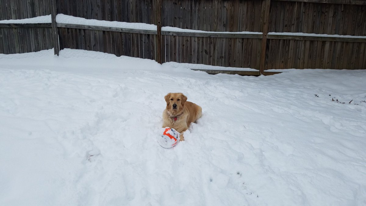 eeltringham's tweet photo. Playing ball in the snow!#Fox5SnowDay https://t.co/aaAlurhYnk