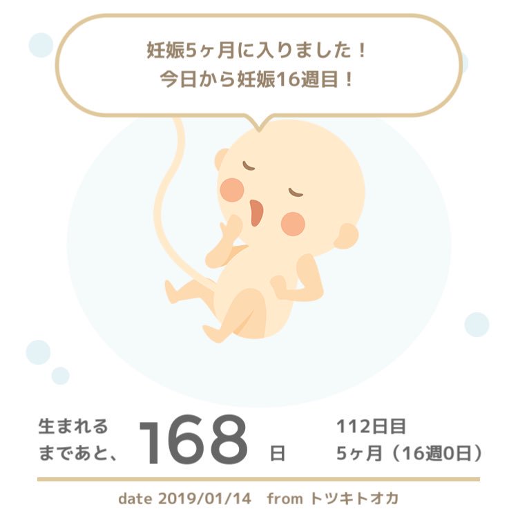 妊娠5ヶ月 妊娠5ヶ月