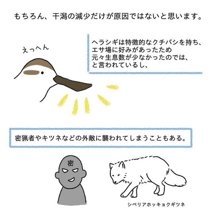 ヘラシギ物語④
少しずつアップしていきます。ヘラシギという鳥を通して埋め立て問題について考えてみました。
#埋め立て反対 #ヘラシギ #イラスト好きな人と繋がりたい #野鳥 #環境問題 #学校では教えてくれないこと #イラスト 