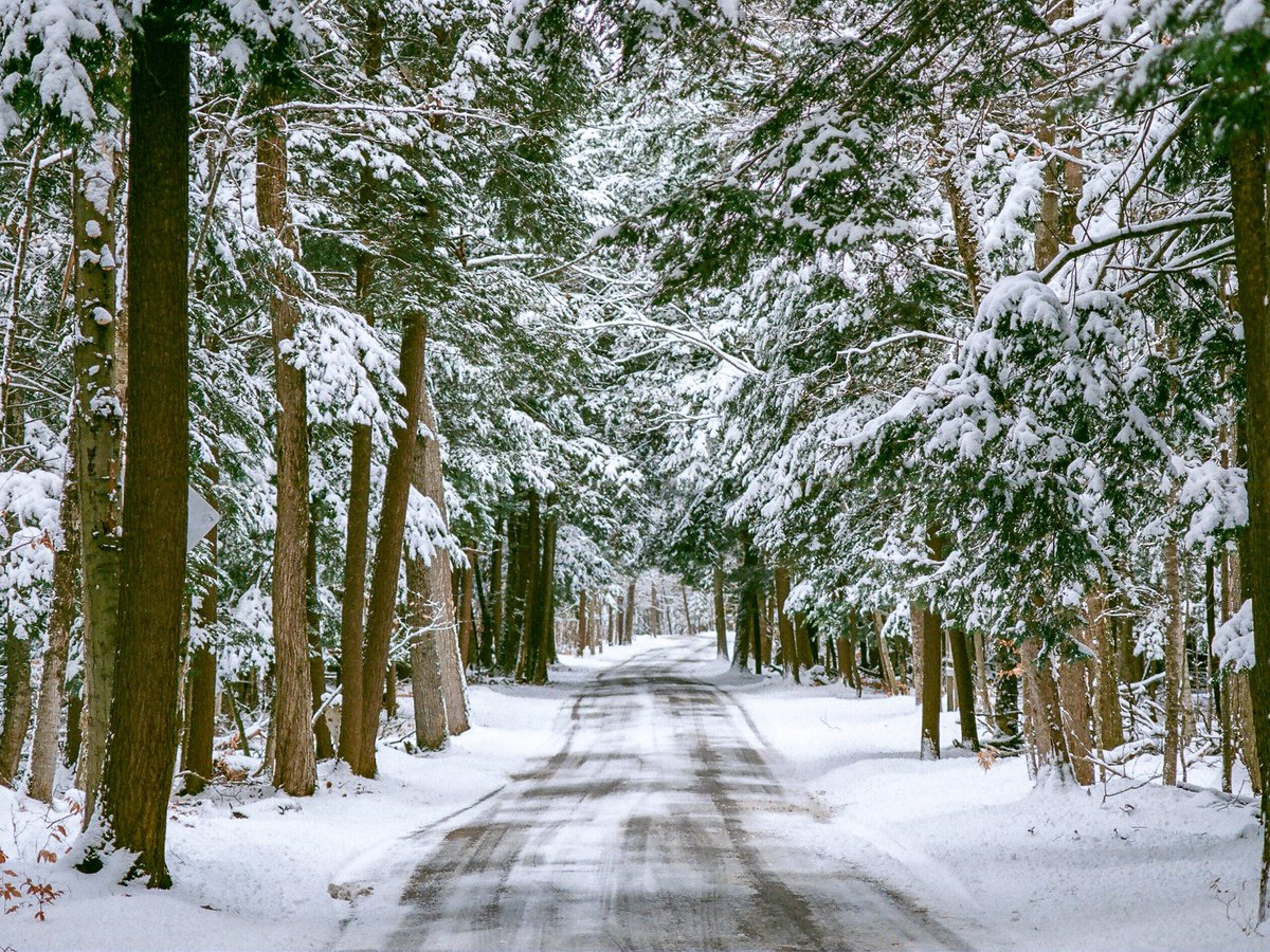 CDepriester's tweet image. Under the advice of @wetikos, I&apos;ve decided to actually start using this account. #m119 #tunneloftrees #michigan #winterphotography #filmisnotdead #filmisalive #fujifilm #C200 #CanonAE1 #ishootfujifilm #ishootfilm