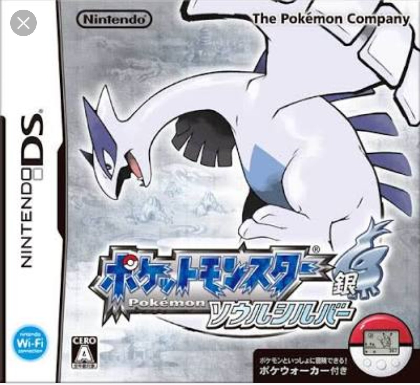 フォレスト その3 ポケットモンスターソウルシルバー ポケモンデビュー作 相棒はチコリータ 最初がひこうジムでさっそく苦戦したのはいい思い出 名前忘れたけどマダツボミのとうがある町が好きでした T Co 84agvb7otq Twitter