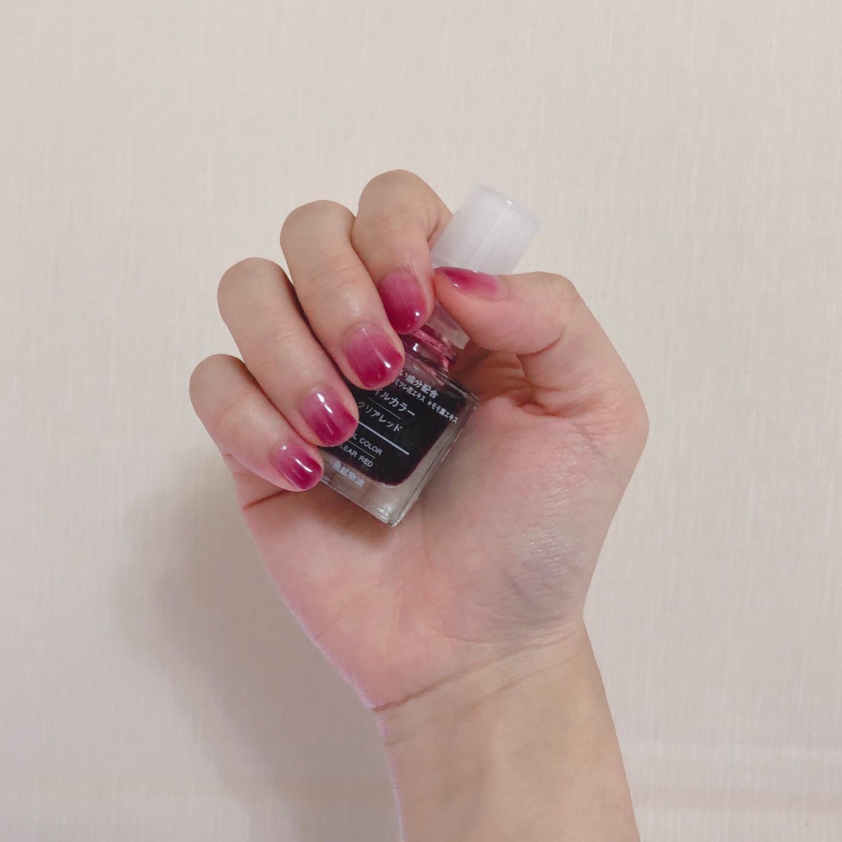 ｼﾞｪﾘｰﾈｲﾙ