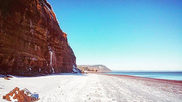halifaxnoise's tweet photo. from @lynyrdp.5 — lovin' this weather ! perfect-day for a walk on the beach.
💛
#houstonbeach #blomidon #minasbasin #bayoffundy #highesttides #winterwalks #iloveitbrisk #canadasoceanplayground #freshair #vitaminD #vitaminSEA https://t.co/SQa8rktAL5 https://t.co/okkz4ud1b6