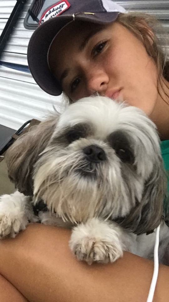 brianacoffey17's tweet photo. missing my old man more and more everyday 🐾❤️ https://t.co/GYHCyHcPc2
