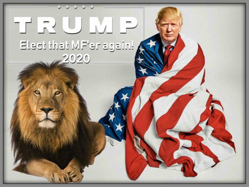 Briteeye777's tweet image. #TrollingMaster 😍😍
#Trump2020 
#BuildTheWall 
#AmericaFirst