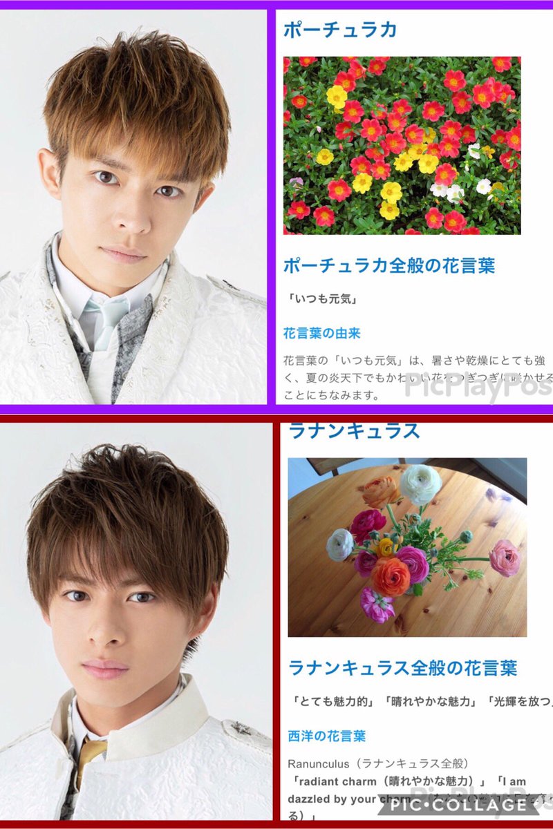 紫紅 シグレ キンプリちゃんの誕生花調べたら納得 紫耀くん ラナンキュラス とても魅力的 廉くん スノーフレーク 純粋 海ちゃん アジアンタム 天真爛漫 岸くん ポーチュラカ いつも元気 じんくん サワギキョウ 高貴 いわち 紫紅 シグレ キンプリちゃんの誕生花調べたら納得 紫耀くん ラナンキュラス とても魅力的 廉くん スノーフレーク 純粋 海ちゃん アジアンタム 天真爛漫 岸くん ポーチュラカ いつも元気 じんくん サワギキョウ 高貴 いわち