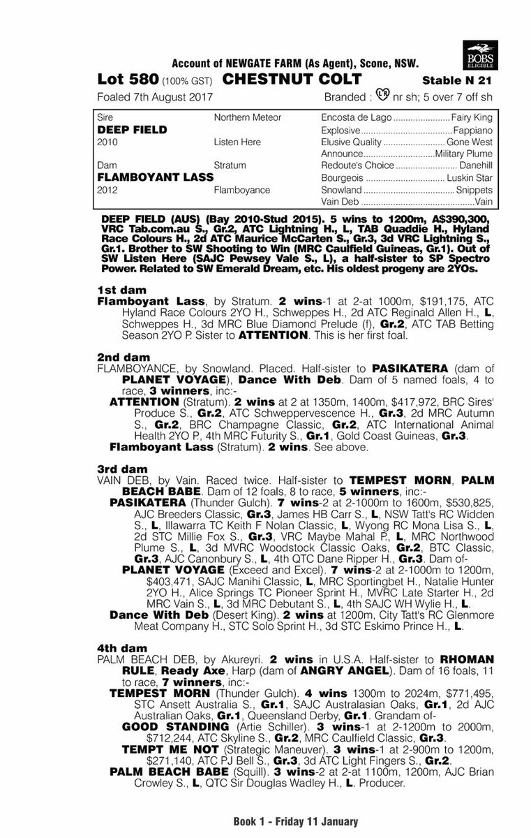 BreedWatchOC's tweet photo. Top 2 Deep Field Colts Sold at the #MagicMillions2019
1)Lot 580 Deep Field X Flamboyant Lass - $450,000 @jmeharron
2)Lot 428 Deep Field X Burgeis - $400,000 (Paul Perry Racing)
Vendor: @NewgateFarm
#MM19 #Top2 #NorthernMeteor https://t.co/fnIm5oUKFC