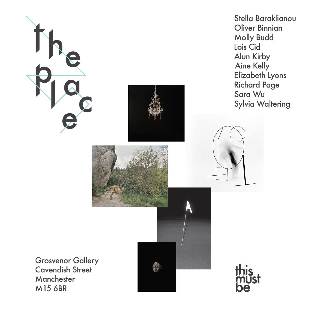 Showing work from #TheDialogueOfTheDogs in #ThePlace exhibition @GrosvenorGall Private View: this Thursday 17th Jan (5-7pm). Please come along. #ThisMustBe