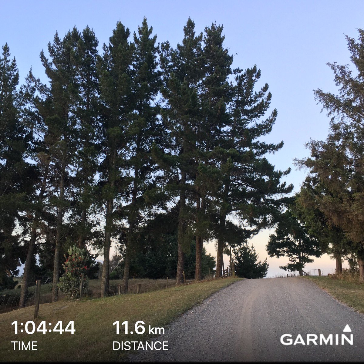 #beatyesterday #garmin