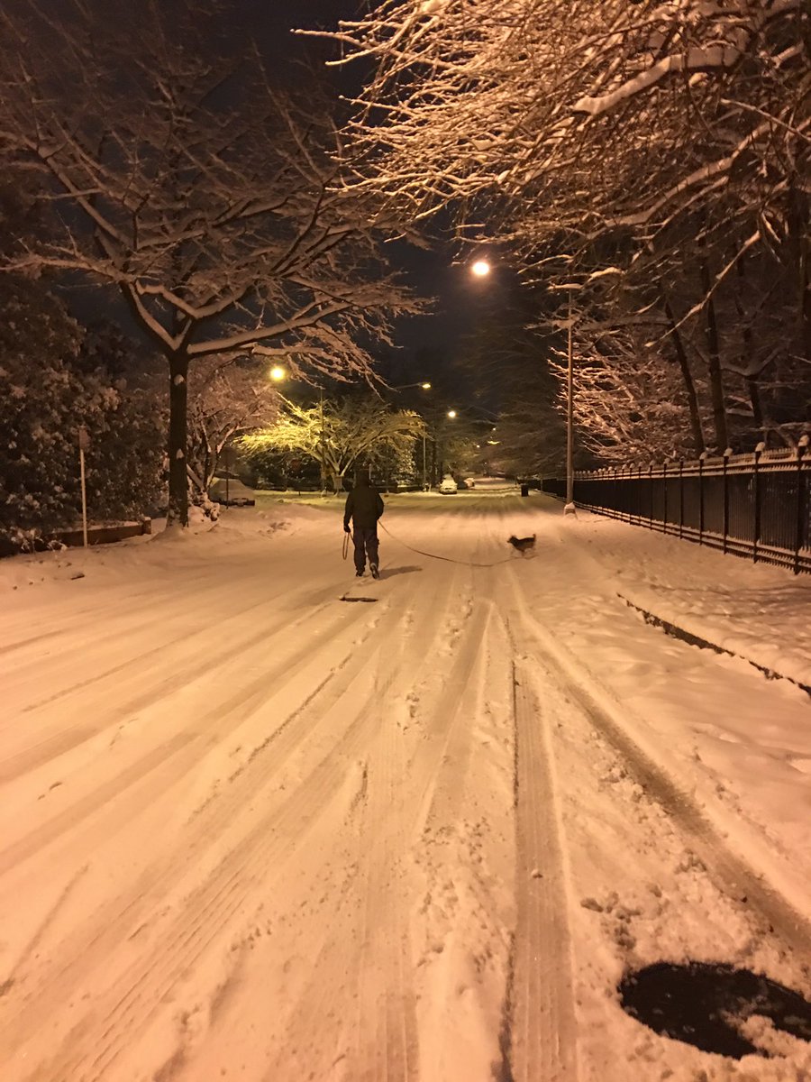 sarah ducich tweet media