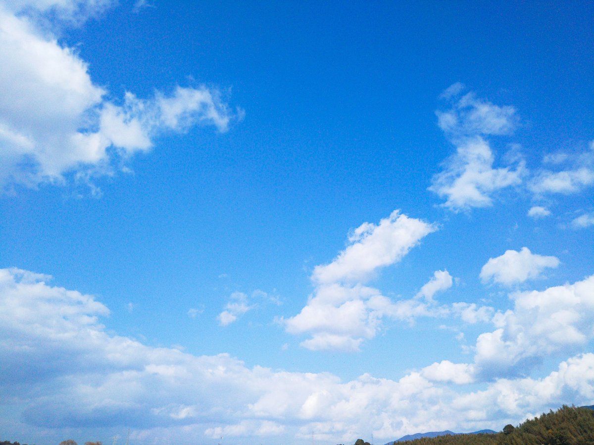 HANA_Japanese's tweet photo. Good day ☀

I played with my dog:) https://t.co/OTBvh7SEty
