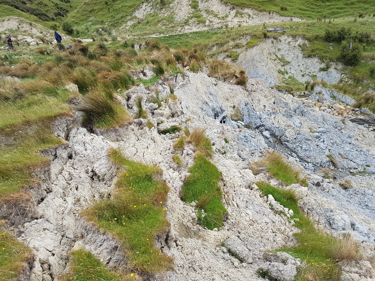 AndrewNeverman's tweet image. In another installment of #massmovementmonday here&apos;s the toe of an #earthflow we started monitoring in collaboration between @mwlr_nz and @HorizonsRC to understand the role these features play in catchment sediment dynamics. Notice @DrHGSmith for scale #landslide #geoscience