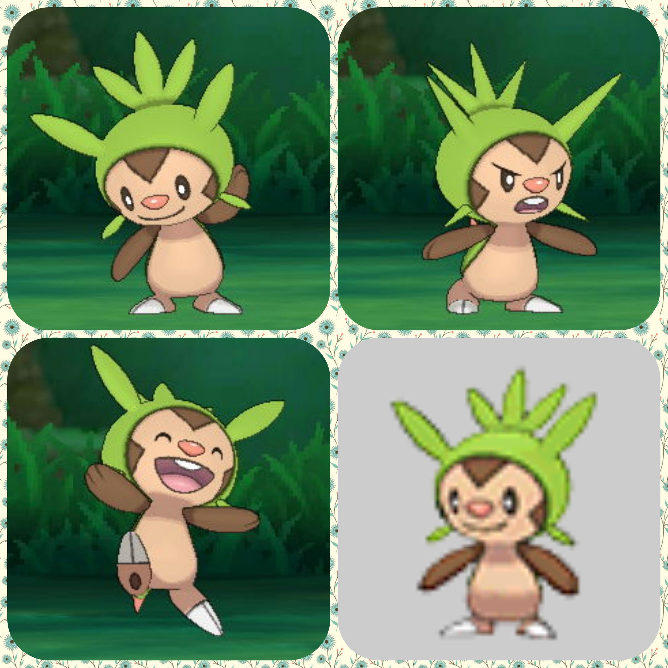 まとめ 隔日刊行ポケモンフォトグラフ 第六世代 Twitter