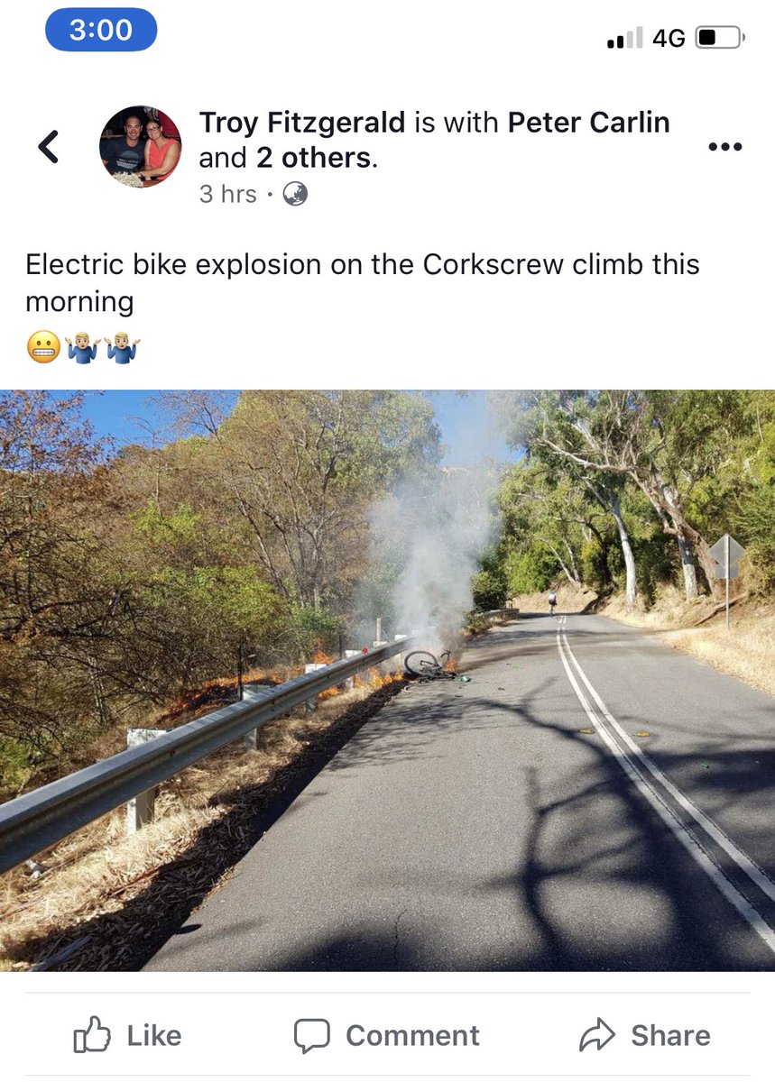 Shane Miller 🦙 tweet media