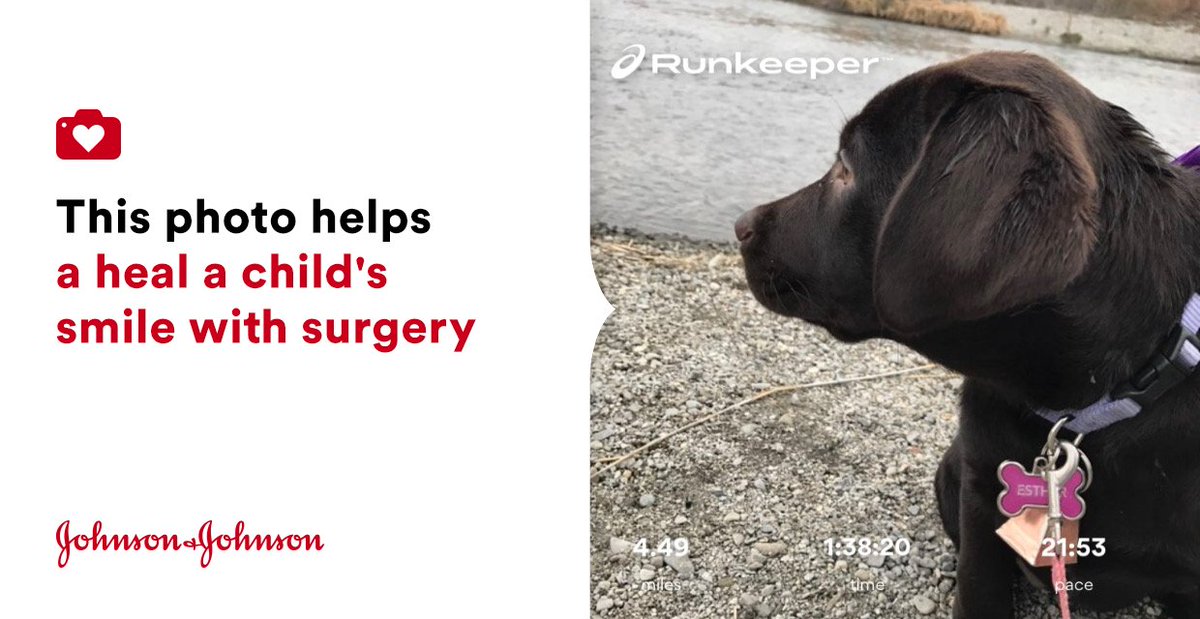 char3200's tweet photo. Nice long walk this morning with this lifesaver ♥️ #Esther #DiabeticAlertDog #Puppy #jnj @donateaphoto https://t.co/Qbwbh98Wka https://t.co/KWzdpopB0R