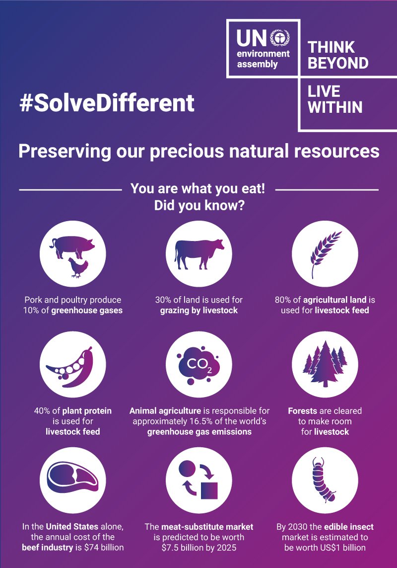 UN Environment Programme tweet media