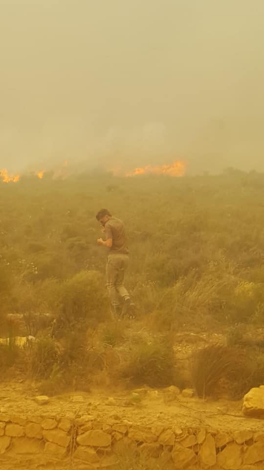 DarlingBrew's tweet photo. As you all know, we have a special place in our hearts at Darling Brew for tortoises.🐢We were blown away when we heard about the brave efforts of Corné & Hugo Uys from Hermanus to rescue tortoises and other wildlife during the ongoing #overstrandfire.
Photo credit: Corné Uys https://t.co/OK2eoFgzj7