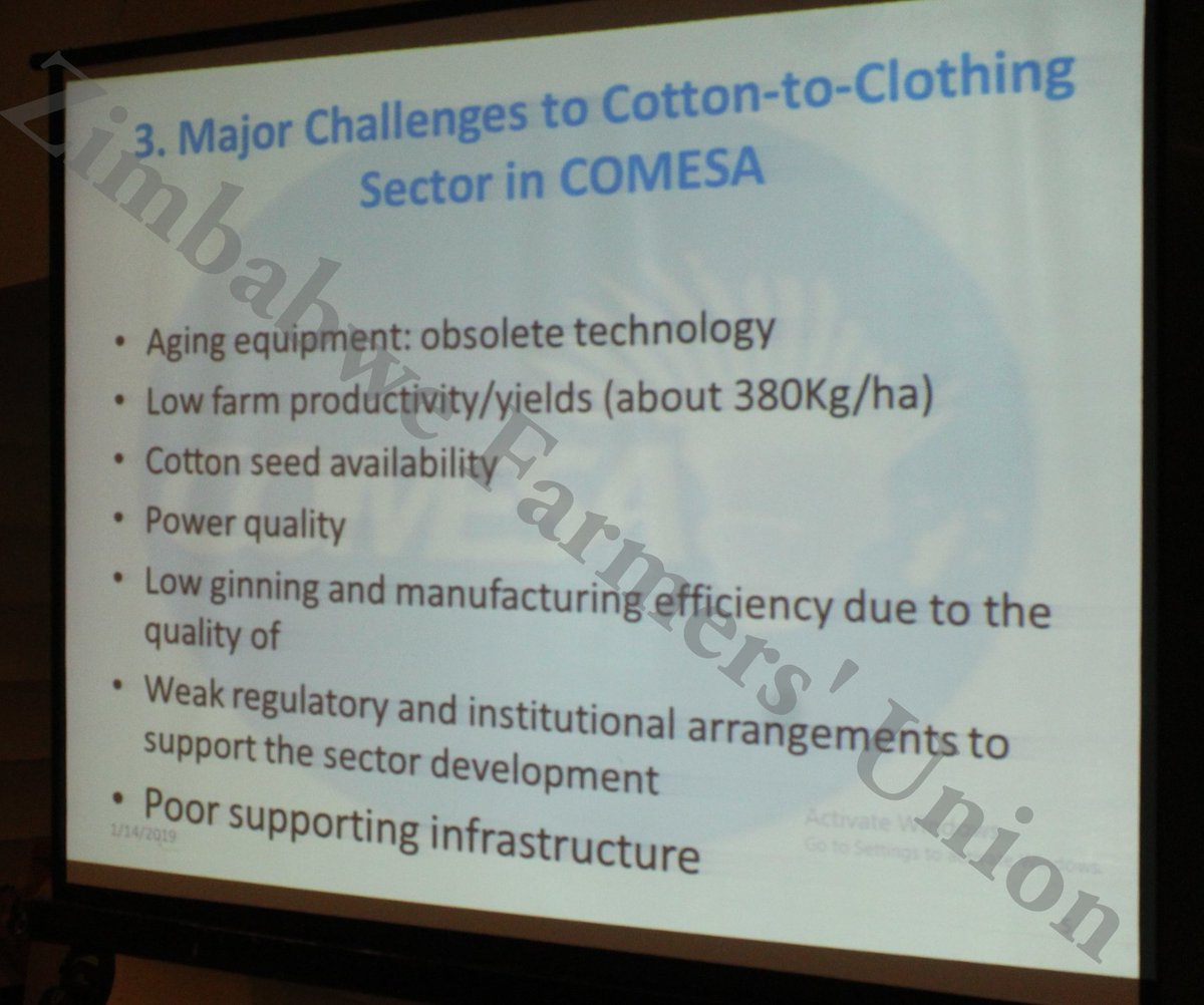 ZFU_Official tweet media