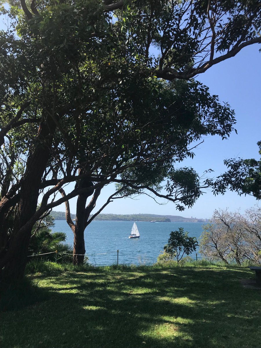 A day when it’s impossible not to love Sydney. #nielsenpark