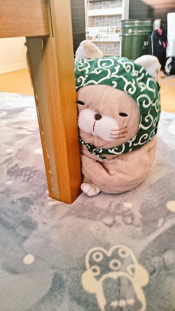 おちゃめなぽんさん(´∇｀)

#ひげまんじゅう