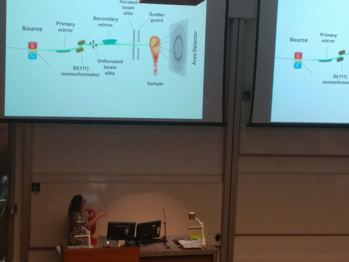 garagao's tweet image. All about different X-ray sources from rotating anodes, bending magnets, insertion devices to XFELs by Christine Gee at #ACrS19 #crystallography #xraysources #xfel #synchrotron