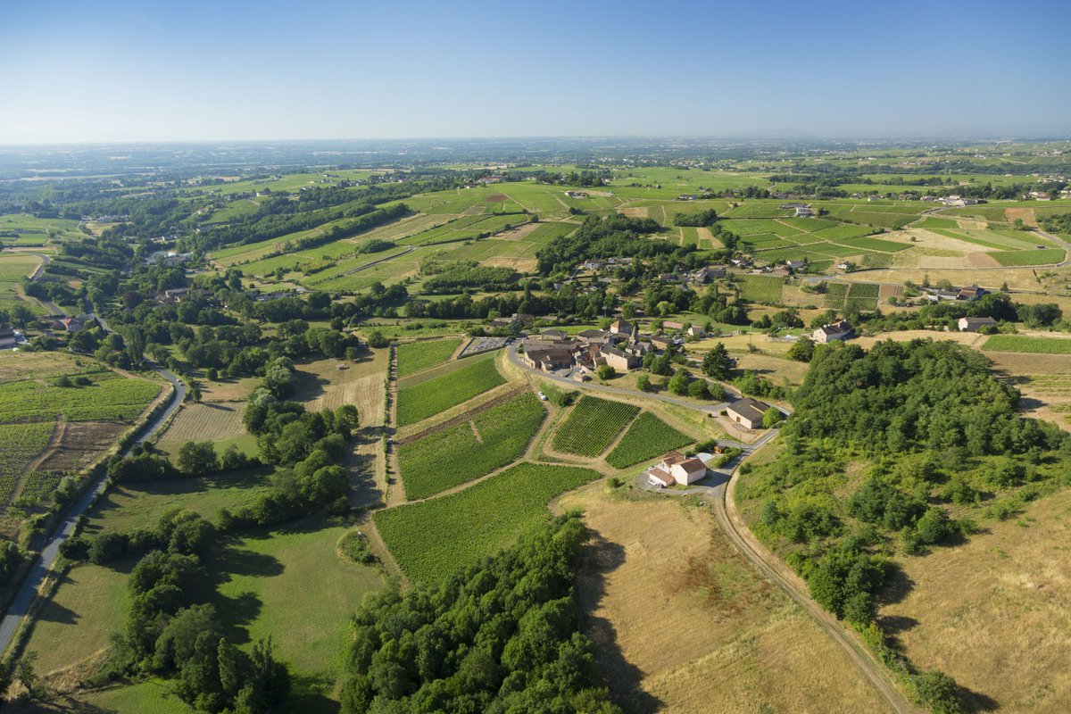 En promenade dans le vignoble ? L’appellation Saint-Véran propose désormais sa carte interactive en ligne ! Indispensable pour mieux comprendre cette appellation,  retrouvez-la juste ici  bit.ly/CarteStVeran    
<a href="/HISTOIRE_DU_VIN/">CHVV</a> #VinsBourgogne 
Copyright : BIVB / @aurel_ib