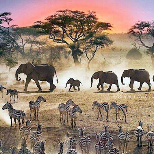 NajivuniaUkenya tweet picture