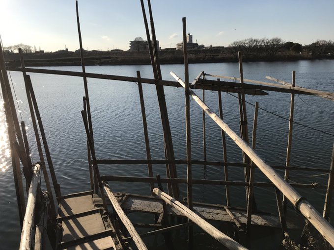 矢切の渡しのtwitterイラスト検索結果