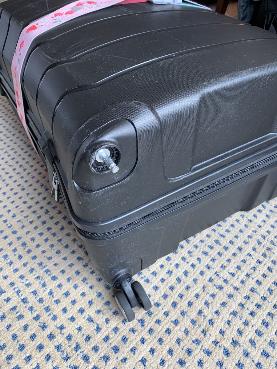singapore airlines baggage damage