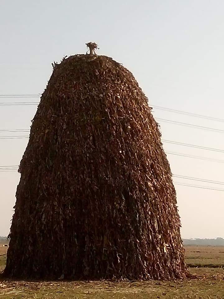 of_assam's tweet photo. সমূহ অসমবাসী ৰাইজক ভোগালী বিহুৰ আন্তৰিক শুভেচ্ছা জ্ঞাপন কৰিলো । https://t.co/D9bVVP7Ttk