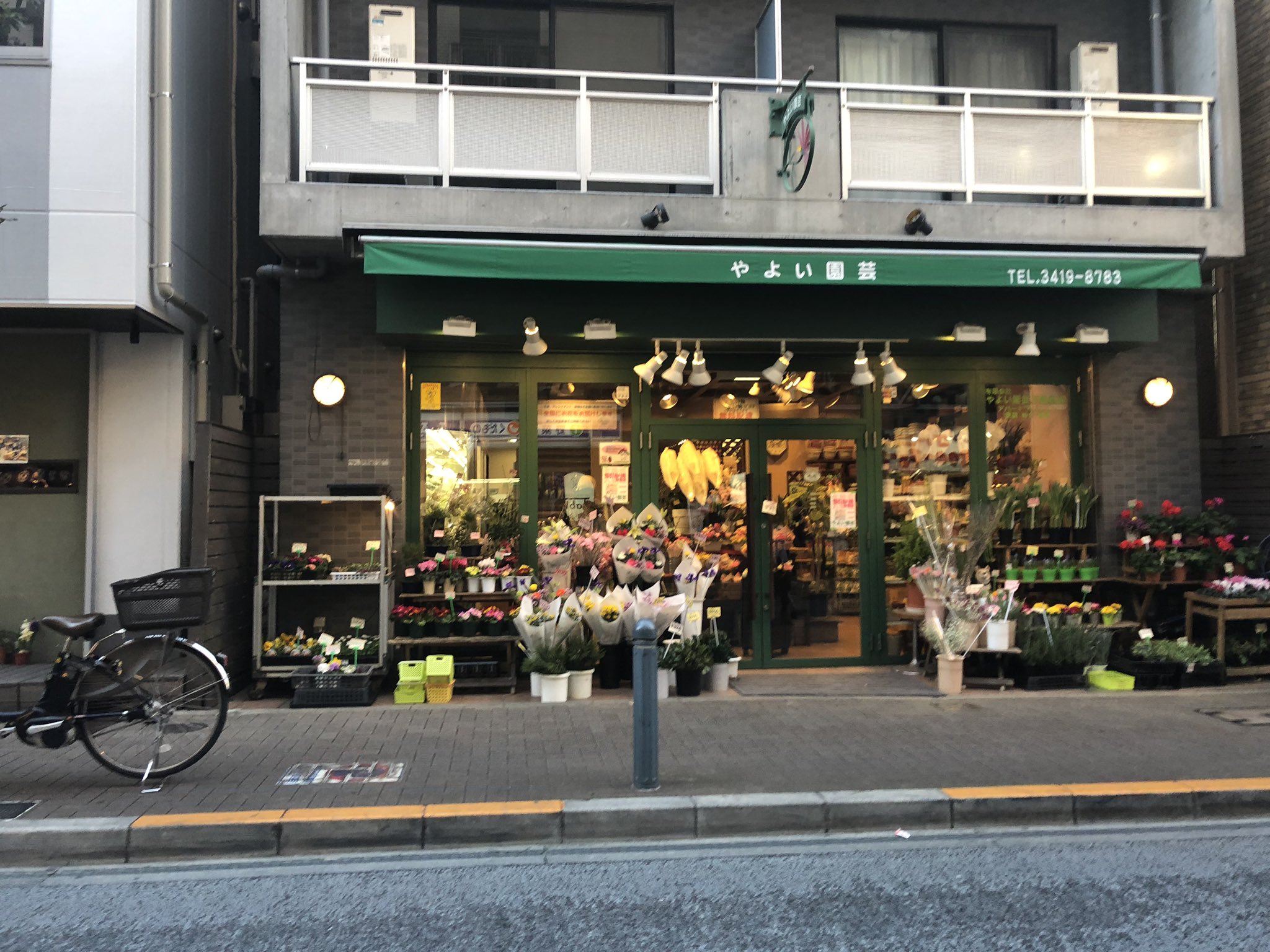Sky Twitter पर 三軒茶屋にあるしぶりんのお花屋さん行ってきました T Co Unksnuosy1 Twitter