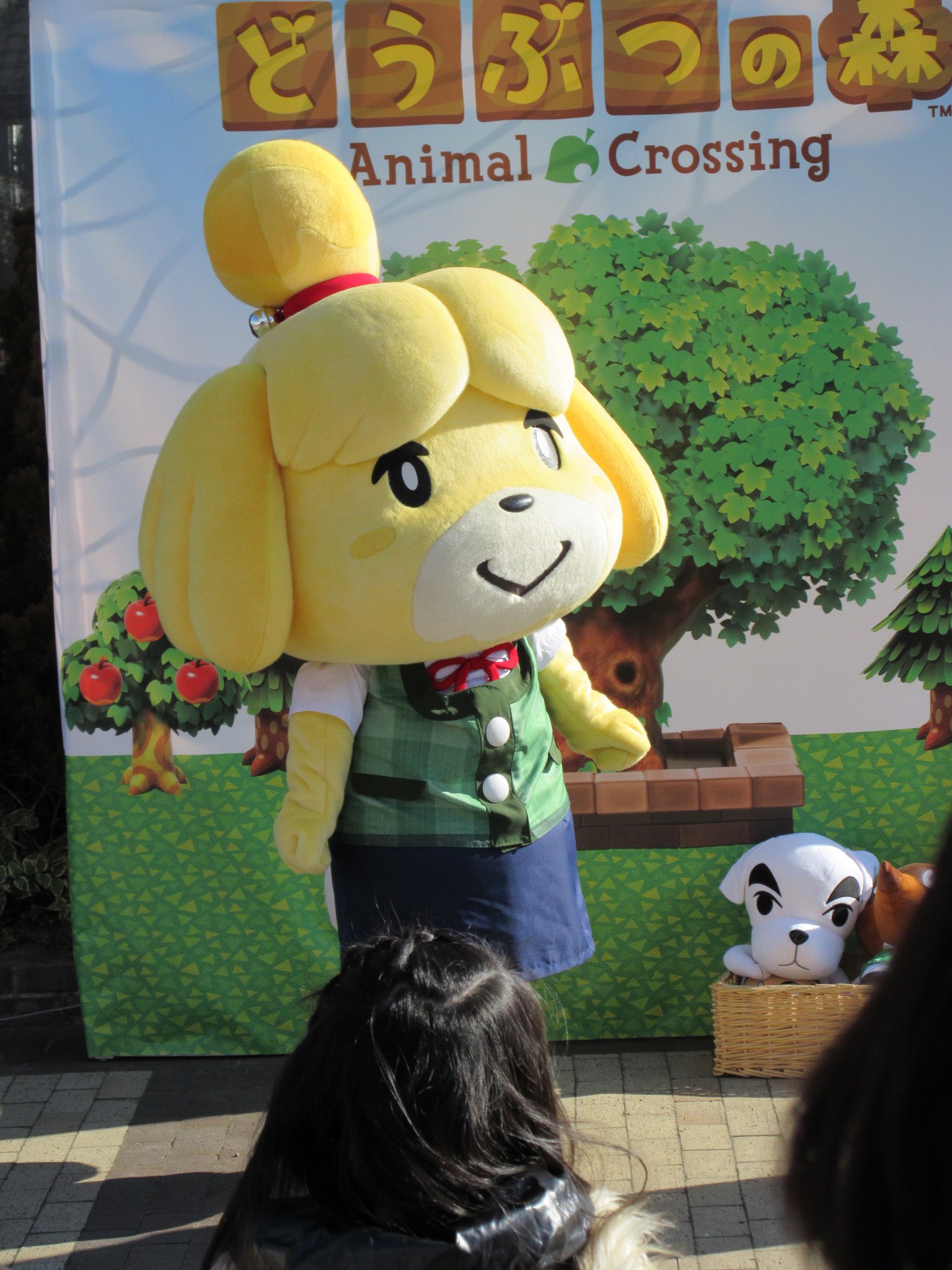 どうぶつの森 しずえ ブランケット どうぶつの森 しずえ ブランケット