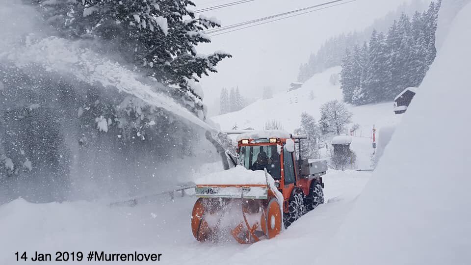 Murrenlover's tweet image. Still snowing and forecasted to continue until tomorrow morning here in #Mürren . Snow depth:115/240cm, avalanche level:5. You must stay on piste. #powderalert #Murren #Schilthorn #ThePhotoHour #Switzerland