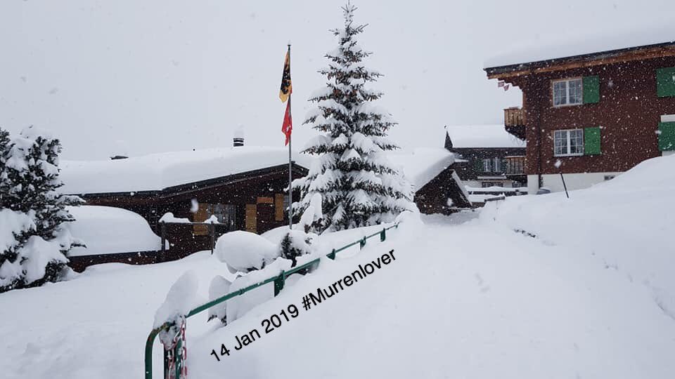 Murrenlover's tweet image. Still snowing and forecasted to continue until tomorrow morning here in #Mürren . Snow depth:115/240cm, avalanche level:5. You must stay on piste. #powderalert #Murren #Schilthorn #ThePhotoHour #Switzerland