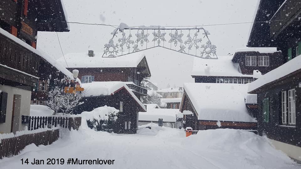 Murrenlover's tweet image. Still snowing and forecasted to continue until tomorrow morning here in #Mürren . Snow depth:115/240cm, avalanche level:5. You must stay on piste. #powderalert #Murren #Schilthorn #ThePhotoHour #Switzerland