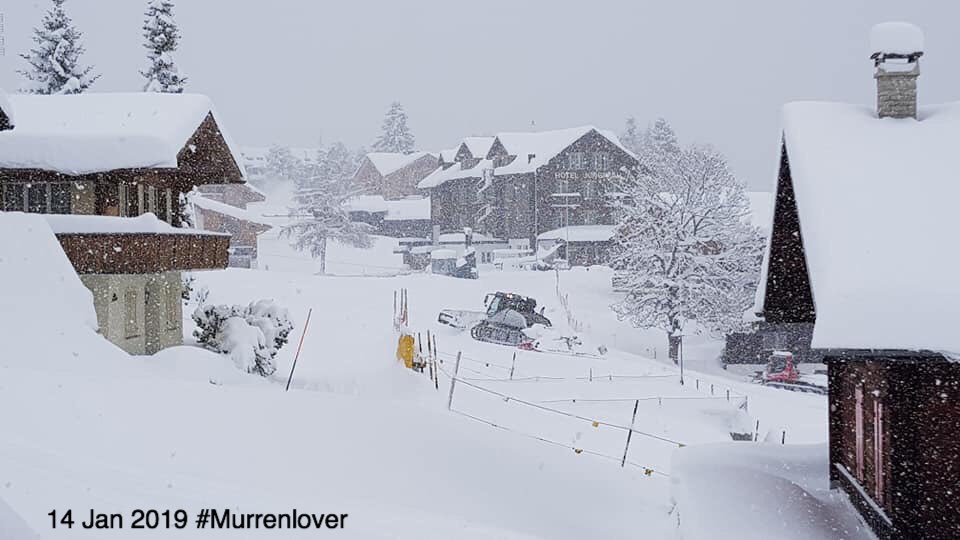 Murrenlover's tweet image. Still snowing and forecasted to continue until tomorrow morning here in #Mürren . Snow depth:115/240cm, avalanche level:5. You must stay on piste. #powderalert #Murren #Schilthorn #ThePhotoHour #Switzerland