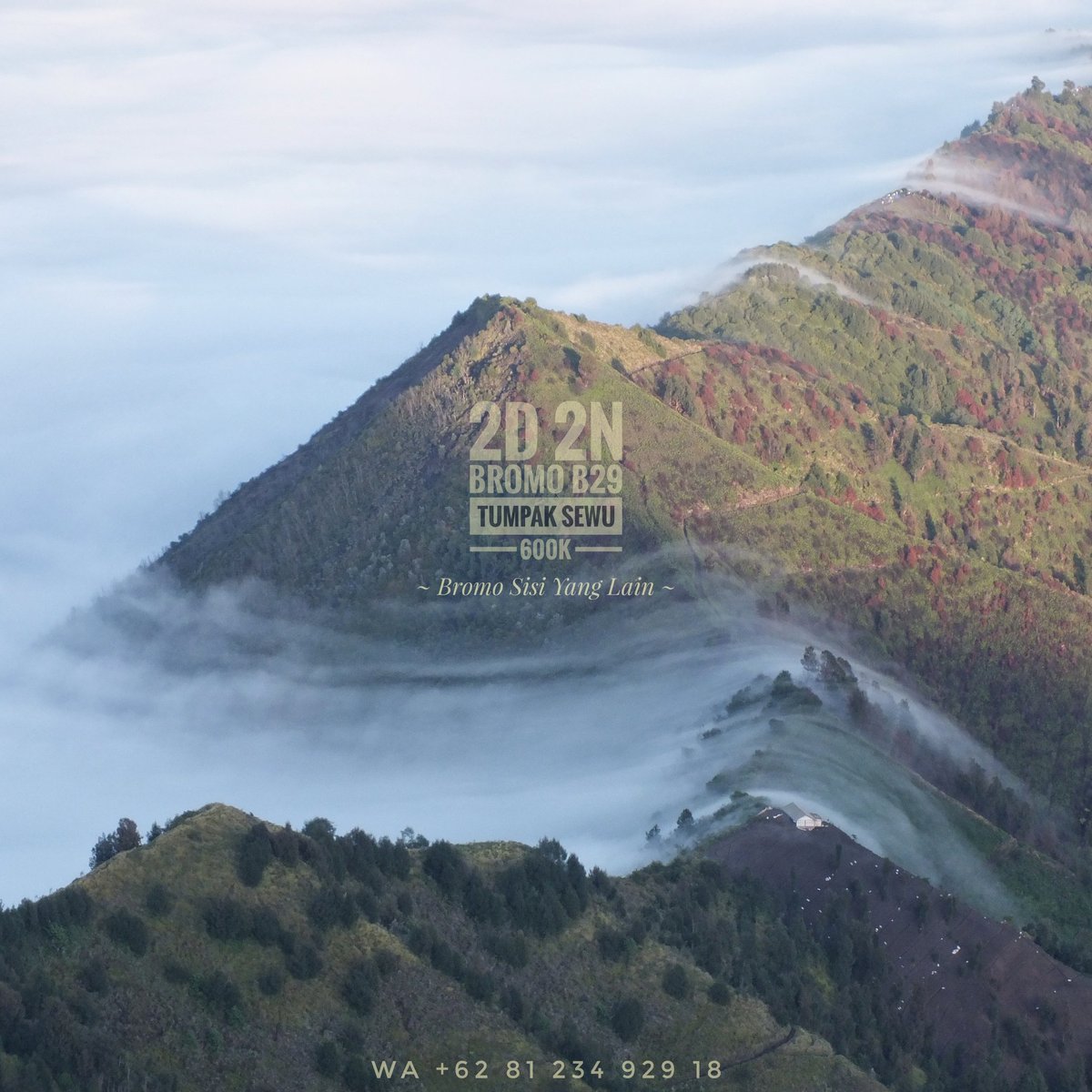 Bromo_B29's tweet photo. Private/ Open Trip: 
➡ Bromo Midnight (15 Hours) 
➡ Bromo - B29 - Tumpak Sewu - Ijen (1D 1N/ 2D 1N/ 2D 2N/ 3D 3N)

Tripadvisor
#OpenTripBromo #OpenTripB29 #TravellingIndonesia #Jakarta #Bandung

~ Bromo Sisi Yang Lain ~ 
📲 +62 81 234 929 18 

https://t.co/iARBNdR0BE

#senin https://t.co/ndV5bU6OoW