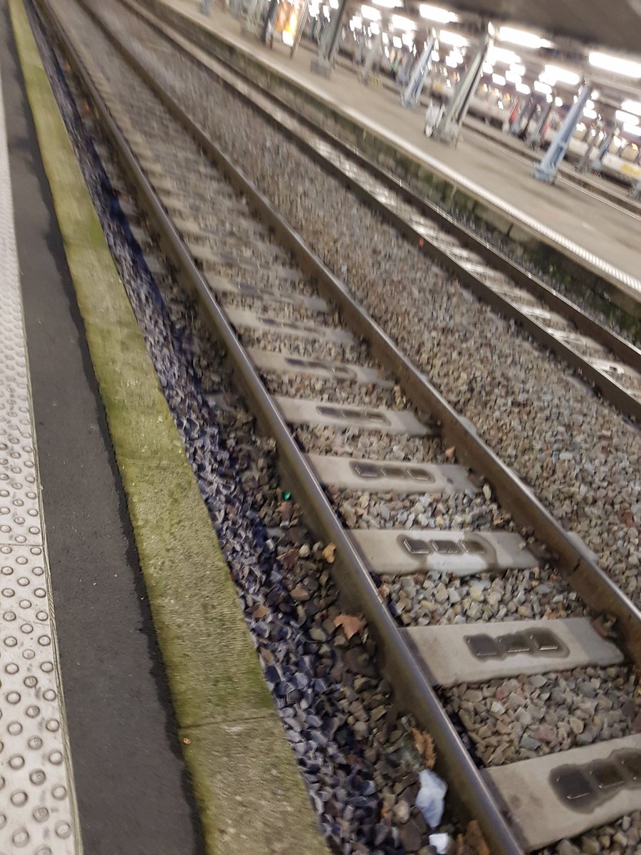 NathMarechal's tweet photo. Dernière ligne droite parisienne cette semaine ! Les 6 mois de #formation au @cfpjcom sont passés vitesse grand V. Je repars avec des bagages solides pour mon métier de communicante. Merci pour ce beau voyage !
#laComEstUnMetier #certificat https://t.co/gNqX4SRUeP