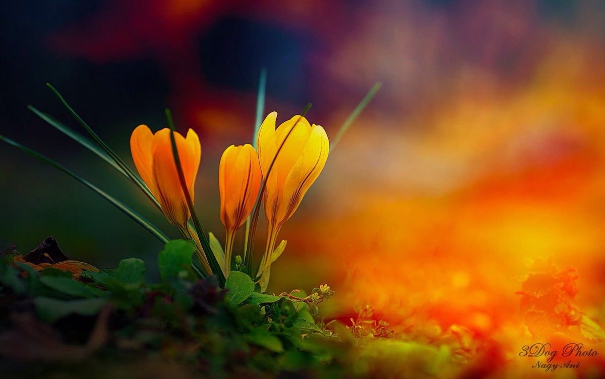ramblingsloa's tweet photo. Wishing you all
Wherever you are on Planet Earth 🌏 
A wonderful new week ❤️ https://t.co/it7Vutowq5