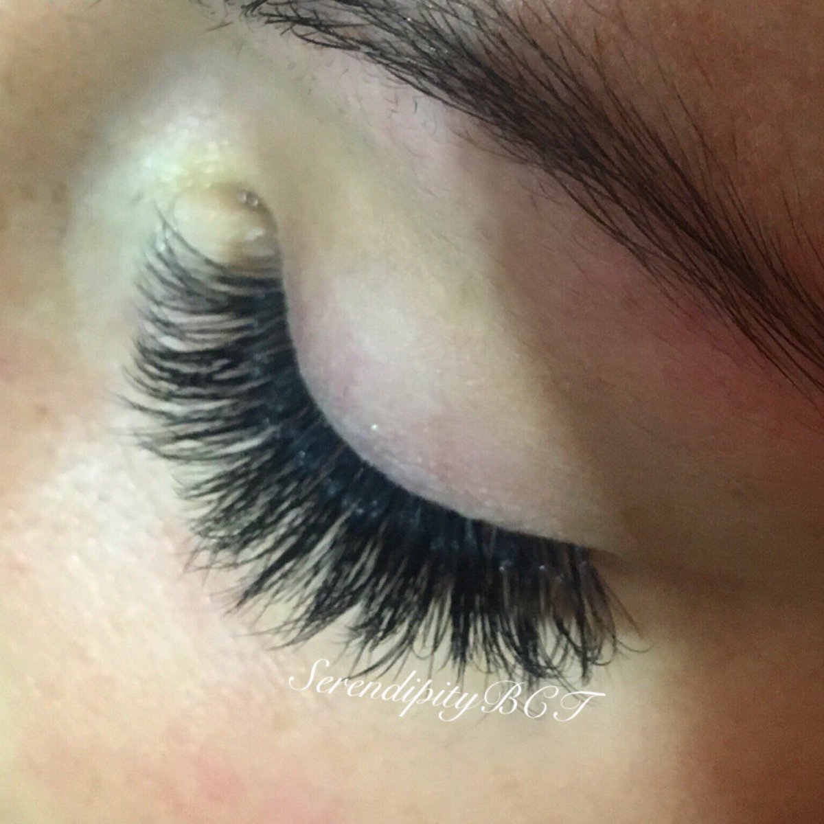 SerendipityBCT's tweet photo. Gorgeous fluffy lashes ready for this bride to be’s wedding prep! 
Wedding prep part 1 🤗 👰 💕#lashes #prep #lashboss #lashgang #lashnap #weddingprep #svs #volumelashes #volume #fluffylashes #cardifflashes #lashescardiff #lashextensions #lashextensionscardiff @NouveauLashesUK https://t.co/rzgdkPnWDP