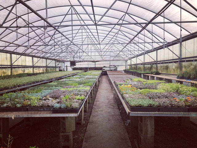 thetangledtin's tweet photo. I cannot believe this was a week ago!! Take me back to the cactus farm 😭😭😭 https://t.co/4zZact8nhW