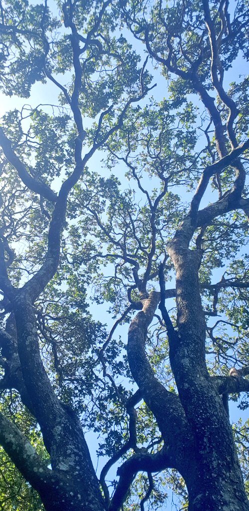 Teacher_Tracy_'s tweet photo. A Sunday well spent brings a week of content๐ girls on a mission ๐ #picnic #roadTrip #champagne #soulsisters #alwaysalaugh #teacher5aday #sunshine #SmileSunday https://t.co/uU731lFcyg
