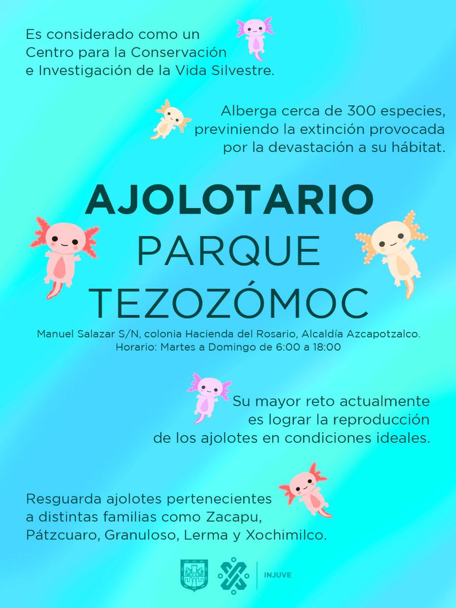 InjuveCDMX's tweet photo. Buenos días #FelizLunes les recomendamos acudir al #Ajolotario #LaBuenaVidaEs conocer lugares en la  Ciudad de México https://t.co/nn6DrYBBaj