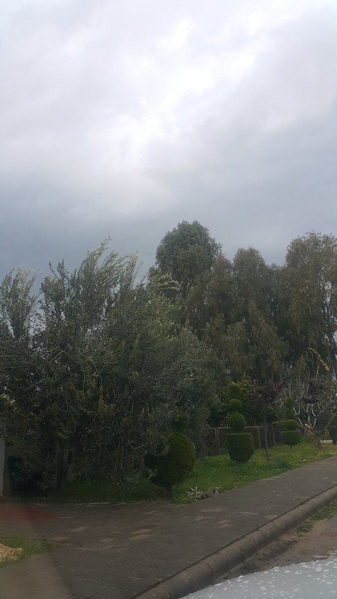 FETHİYE EVLİ ÇİFT 29.32 (@evliciftfethiye) on Twitter photo 