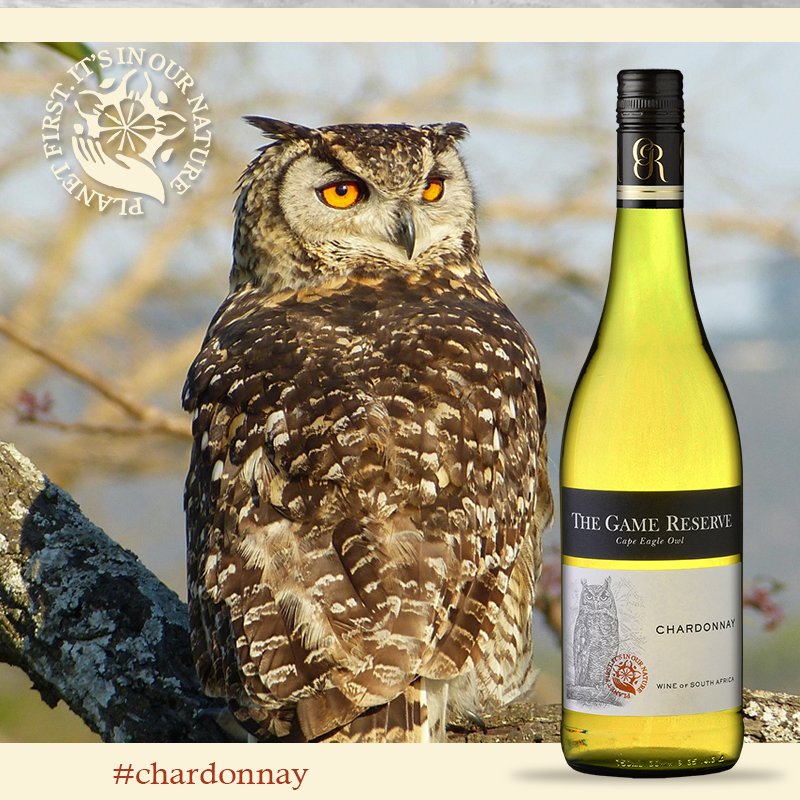 RooibergWines's tweet photo. Help us in supporting the conservation of the large &amp; powerful Cape Eagle Owl when you purchase Chardonnay from the Game Reserve Range, brought to you by Rooiberg Wines. 
#wineswithacause #rooibergwines #itsinournature 
Wilderness Foundation Africa
https://t.co/22YwyVGbK1 https://t.co/bLriKopFC7