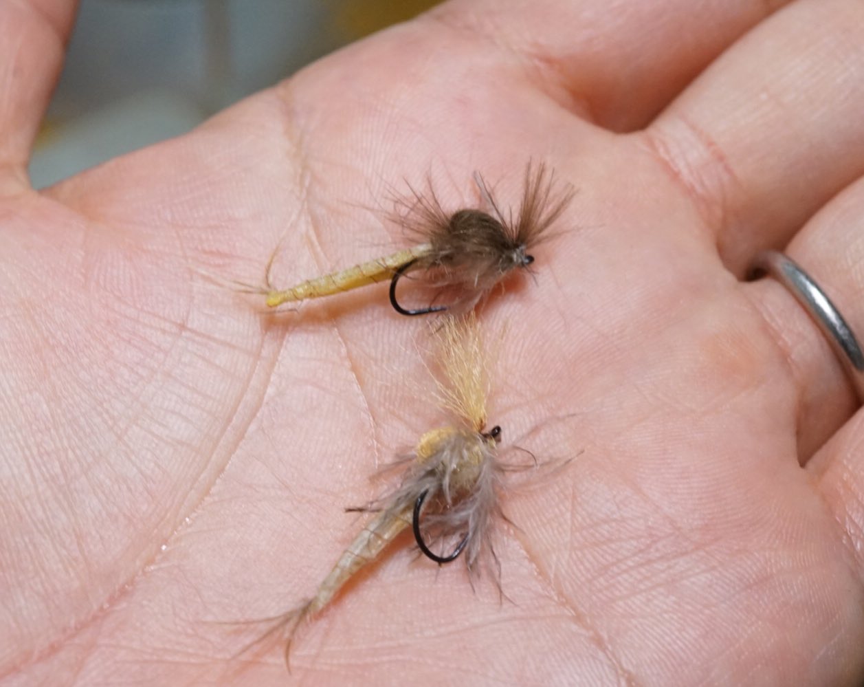 新潟フライフィッシング友の会の会長 モンカゲロウのキャプティブダン的なのを巻いてみた ボディは透過する方がそれっぽいかなと結局ホローボディになった Flyfishing Flytying Drake モンカゲロウ フライタイイング フライ