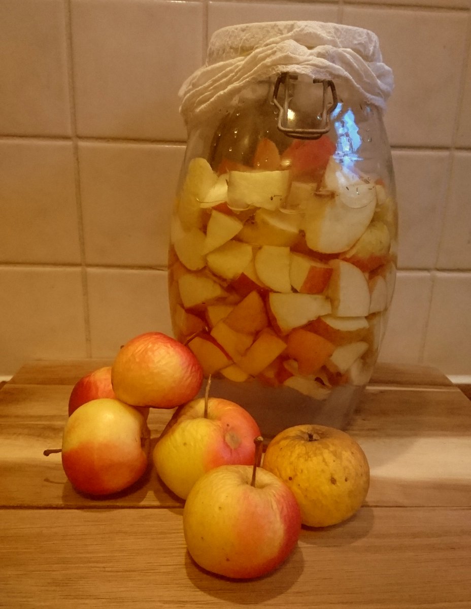 De laatste appels van je eigen oogst zijn wellicht slecht aan het worden, maak er appelazijn van! Zorg ervoor dat de appels volledig onder water staan, je kunt bijvoorbeeld een bordje of glazen deksel er bovenop leggen om dit voorkomen. nl.wikihow.com/Appelazijn-mak…