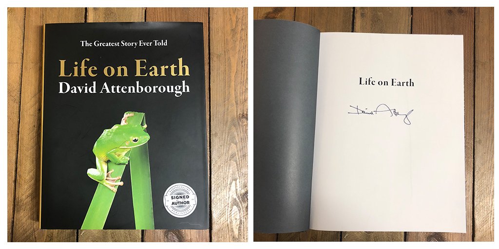 Cheltenham Festivals tweet media