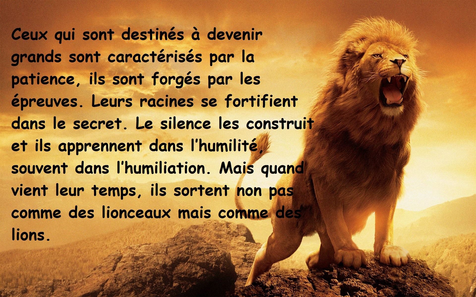 Charles Assamba L Humilite Precede La Gloire Sagesse Africaine T Co 5mlges9ube Twitter Charles Assamba L Humilite Precede La Gloire Sagesse Africaine T Co 5mlges9ube Twitter